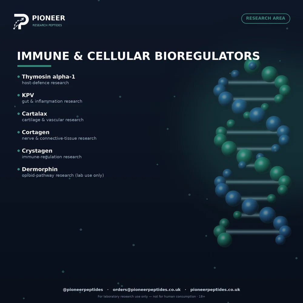 Peptide bioregulators studied in immune and tissue research