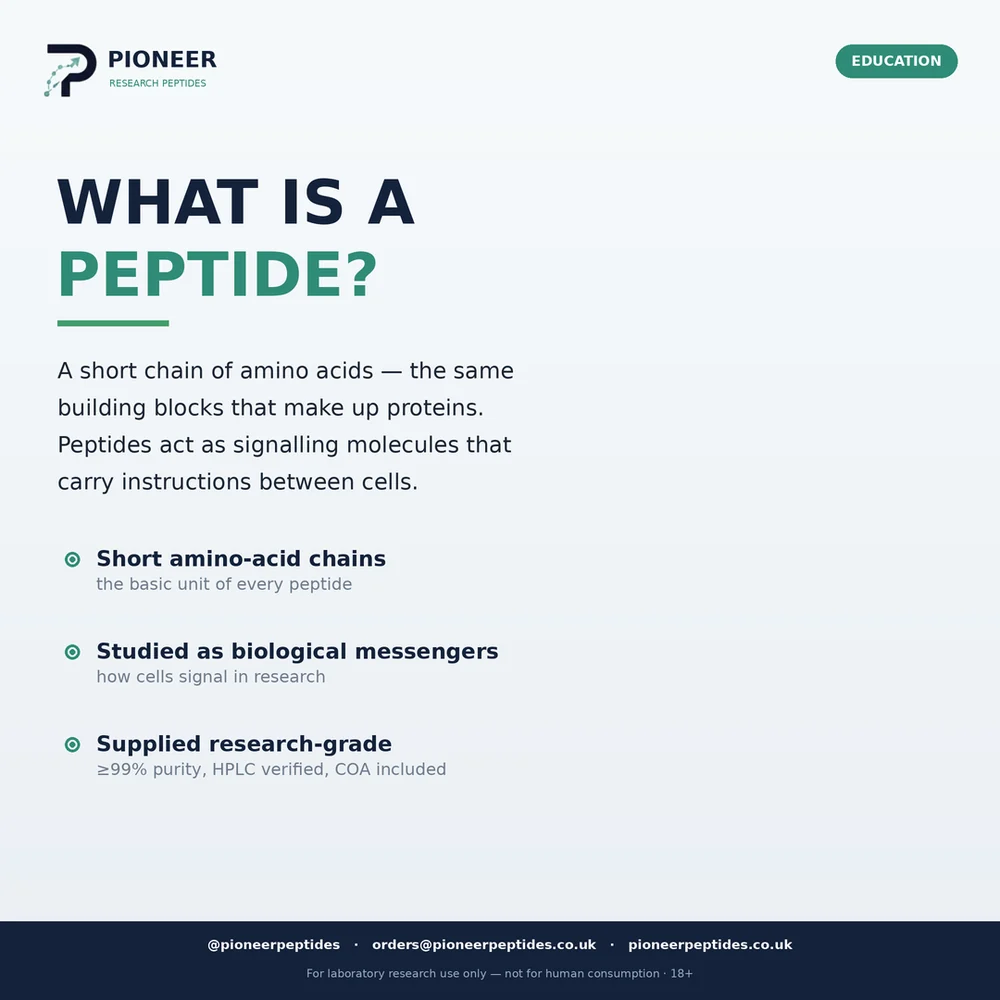 Diagram explaining what a research peptide is